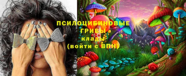 соль курить ск Надым